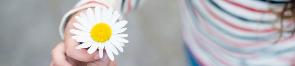 Welcome Image